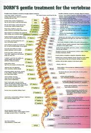 Boyds Alternative Health Natural Health Services