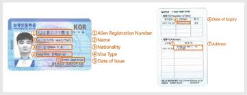 Applying for passports and visa can be complicated. Visa Immigration