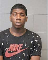 ᐅ Illinois Criminal Records 2009-2025