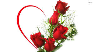 Image result for images for a bunch of red roses