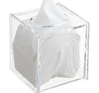 Acrylic Hinged-Lid Boutique Tissue Box
