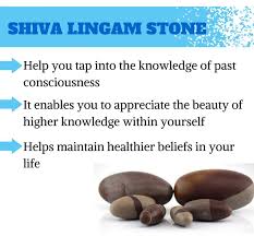 Their legs should be spread apart with their knees bent, so you have easy access to all parts of their genitalia. Do You Need A Boost Of Prana Energy Wearing Or Sleeping With A Shiva Lingam Can Help You Ignite Tho Positivity Crystals Crystal Healing Stones Chakra Crystals