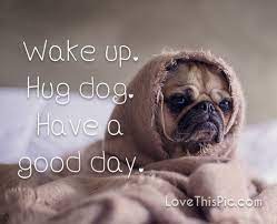 Wake Up Hug Dog Quotes Cute Hug Adorable Dog Puppy Good Morning Have A Good Day Cute Good Morning Quotes Good Morning Animals Good Morning Dog Dogs Dogs of all ages are welcome as long as they're cute. wake up hug dog quotes cute hug