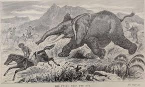 44 Elephant hunting in art Images: PICRYL - Public Domain Media Search Engine Public Domain Search