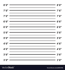 Police Mug Shot Lineup Background