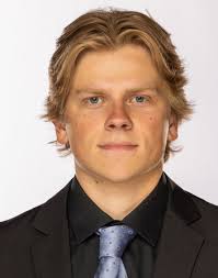 MICHIGAN TECH HUSKIES FERRIS STATE BULLDOGS