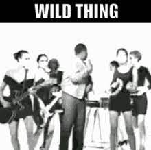 You make my heart sing. Wild Thing Gifs Tenor