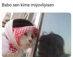 Mizah Komik Komik Resimler Komik Filmler Komik Goruntuler