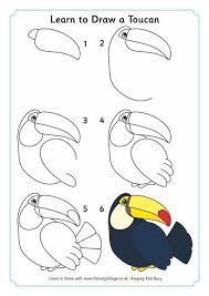 It's simple!simply subscribe us for more drawing tutorial. 1000 Images About Amazon Rainforest On Pinterest Rainforests Toucan Art Bird Drawings Art Drawings For Kids