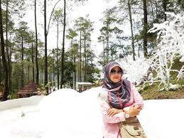 Buatlah kliping tentang terjadinya gempa bumi di indonesia! Membuat Kliping Ips Interaksi Sosial Dan Lembaga Sosial Masa Pandemi