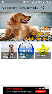 172,000+ vectors, stock photos & psd files. Golden Retriever Dog Wallpaper On Windows Pc Download Free 3 1 Com Myapp Golden Retriever Dog Wallpaper