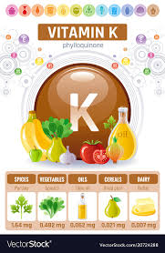 Vitamin K Supplement Food Icons Healthy Eating Vector Image