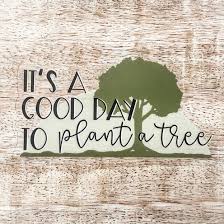 Its a Good Day to Plant a Tree Sticker Clear Vinyl Sticker Tree Lover Plant  Tree Water Bottle Waterproof, Dishwasher Safe, Durable