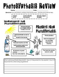 Some of the worksheets for this concept are third grade plant life, a tree is like a hungry kid, what is photosynthesis, plant parts lesson plan, , 3rd 5th grade upper elementary lesson 2, grade 3. Photosynthesis Worksheets 5th Grade Teachers Pay Teachers