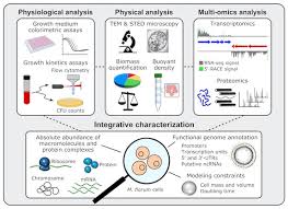 Find kc chia's contact information, age, background check, white pages, property records, liens, civil records, marriage history & divorce records. Integrative Characterization Of The Near Minimal Bacterium Mesoplasma Florum Molecular Systems Biology