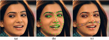 FERGCN: facial expression recognition based
