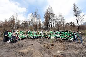 Komunitas yang dihasilkan dari peristiwa suksesi disebut. Daya Untuk Pulih Suatu Lingkungan Kembali Ke Keadaan Seimbang Disebut Coba Sebutkan