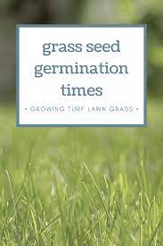 How Long Does It Take For Grass Seed To Germinate Grass Seed Types Zoysia Grass Seed Planting Grass