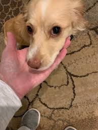 Does anyone know who this baby belongs to?