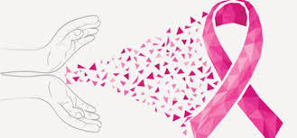 6 Curiosidades Sobre El Color Rosa Mage Curiosidades Colorinspiration Color Curiosidades Dat Cancer De Mama Cintas De Cancer Dia Mundial Contra El Cancer