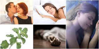 We did not find results for: Utile Ce Simti Cu Un Minut Inainte Sa Mori Ce Se Intampla In Organismul Tau Daca Adormi Dupa Ora 23 00 Cele Mai Bune Uleiuri Esentiale Pentru Somn Hotnews Mobile