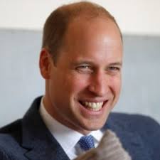 Prince Harry's moving speech about his dad gets interrupted by a bee