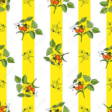 We did not find results for: Plant Rosehip Seamless Pattern With Yellow Stripes On White Background Can Be Used For Wallpaper Printed Decoration In Kitchen Royalty Free Cliparts Vectors And Stock Illustration Image 47524840