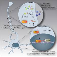 نتیجه جستجوی لغت [transmits] در گوگل