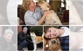 Esta efeméride mundial fue creada en el año 2004, motivado por la inmensa importancia de estos animales en el la intención del día mundial del perro no es solo recordarnos a uno de los mejores amigos de nuestra infancia y quizás, nuestro mejor amigo actual. Ymnpyctqjkyi1m