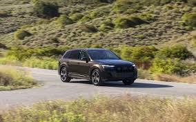 Image result for Tamarind Brown 2025 Q7