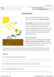 Image Result For 4th Grade Science Plants Worksheets Photosynthesis Worksheet Science Worksheets Photosynthesis