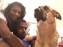 Delta dental is a trusted dental benefits provider, offering individual and group dental delta dental insurance company acts as the deltacare usa administrator in all these states. Pet Insurance In Demand In Uae Society Gulf News
