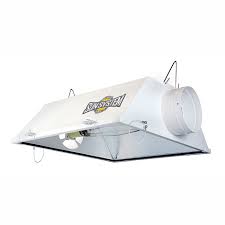 Maybe you would like to learn more about one of these? Hbx 600w Air Cooled Economy Grow Light Kit Hps Mh Grow Light Kits Mh Hps Grow Lights Grow Lights