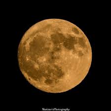 (6) エアマスター (1) エウレカセブン (1) エターナルアルカディア (16) オクトパストラベラー (5) オトコのコはメイド服がお好き!? ã¾ã‚Šã‚‚ On Twitter ä»Šæ—¥ã®æœˆã¯å¤§ãã„ãªã¨æ€ã£ãŸã‚‰ã‚¹ãƒ¼ãƒ'ãƒ¼ãƒ ãƒ¼ãƒ³ã§ã—ãŸ æ™®æ®µã‚ˆã‚Šã‚‚7 å¤§ãã 16 æ˜Žã‚‹ãè¦‹ãˆã‚‹ãã†ã§ã™ ä»Šå¹´æœ€å¾Œã® ã‚¹ãƒ¼ãƒ'ãƒ¼ãƒ ãƒ¼ãƒ³ è¦‹ã‚Œã¦è‰¯ã‹ã£ãŸ W ã‚¹ãƒ¼ãƒ'ãƒ¼ãƒ ãƒ¼ãƒ³ Supermoon Photography å¯«çœžå€¶æ¥½éƒ¨ å†™çœŸã®å¥ã§ã‚‹ç§ã®ä¸–ç•Œ æ±äº¬ã‚«ãƒ¡ãƒ©