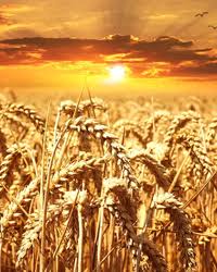 Brian Keith Snell Obituary December 15, 2018