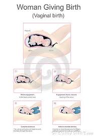 Pin On Anatomy Body Parts