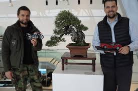 See more of bonsai fusion japanese steak house on facebook. Bonsai Motor Fusion Bonsaimotorworld