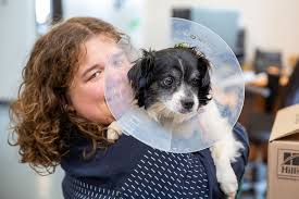 Blue Mountain Humane Society