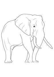 45 Disegni Di Elefanti Da Colorare Disegno Di Elefante Elefanti Disegni