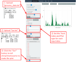 Welcome to shinyChromosome!