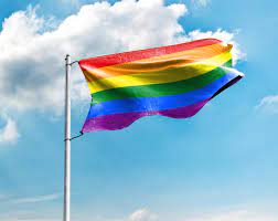 Die regenbogenflagge ist eins der bekanntesten symbole der lgbt*community. Regenbogenflagge Pride Flagge Gunstig Kaufen Premium Qualitat