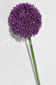 Silk Allium Ball In Purple Single Stem Artificial Allium Floral Stem In Purple Artificial Flowers Wedding Artificial Flowers Purple Tips