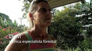 Potencian conservación y mejoramiento de los suelos en Camagüey