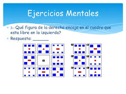 Conozca cómo ejercitar los dos hemisferios cerebrales. Ejercicios Mentales