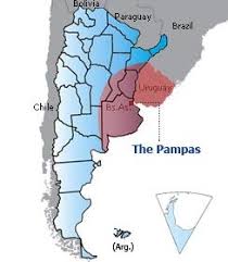The argentinian grasslands are today the biggest source of exports, and account for 50. 9 Los Gauchos Y Las Pampas Ideas Gaucho Argentina Yerba Mate Tea