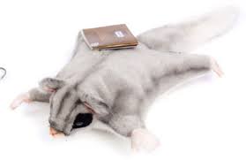 Womul Cute Plush Toy Stuffed Animal Baby Gift Toys Sugar Glider Ssgssk Sugar Glider Pet Toys Baby Animals