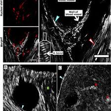 Maybe you would like to learn more about one of these? Jan David Nicolas S Research Works Georg August Universitat Gottingen Gottingen Gaug And Other Places