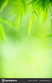 Pikbest dapat mengunduh gambar latar belakang hd secara gratis. Tampilan Alam Yang Indah Daun Hijau Pada Latar Belakang Macro Photography 1067x1700 Download Hd Wallpaper Wallpapertip