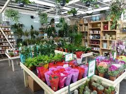 Work in the garden primary tasks this month include planning your spring garden and major pruning of dormant fruit and. Garden Shop Prior Park Garden Centre