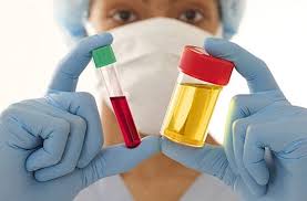 O laboratório é certificado pelo sistema iso 9001 e acreditado pelo palc. Clinica De Exames Laboratoriais Completos Vila Sonia Laboratorio Sao Vicente